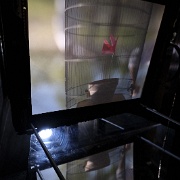 ZUR cabanobscura-31755